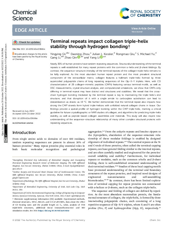 (PDF) Terminal repeats impact collagen triple-helix stability through ...