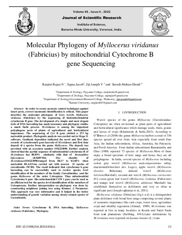(PDF) Molecular Phylogeny of Myllocerus viridanus (Fabricius) by ...
