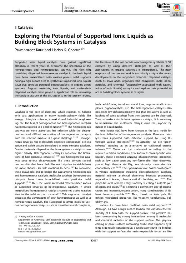 (PDF) Exploring the Potential of Supported Ionic Liquids as Building ...