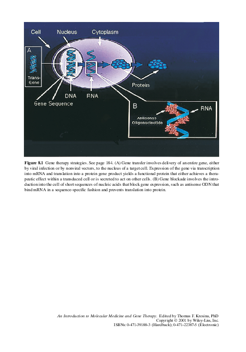 (PDF) An Introduction to Molecular Medicine and Gene Therapy