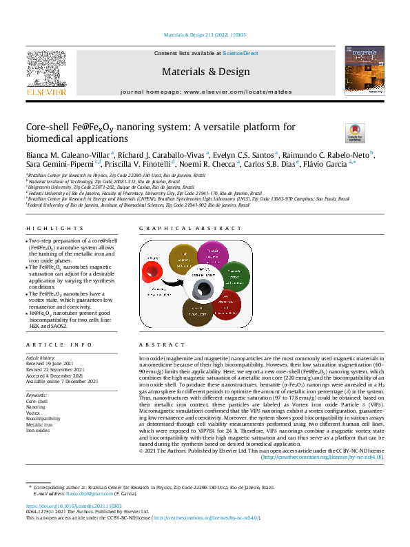 (PDF) Core-shell Fe@FexOy nanoring system: A versatile platform for ...
