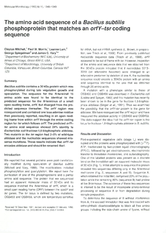 (PDF) The amino acid sequence of a Bacillus subtilis phosphoprotein ...