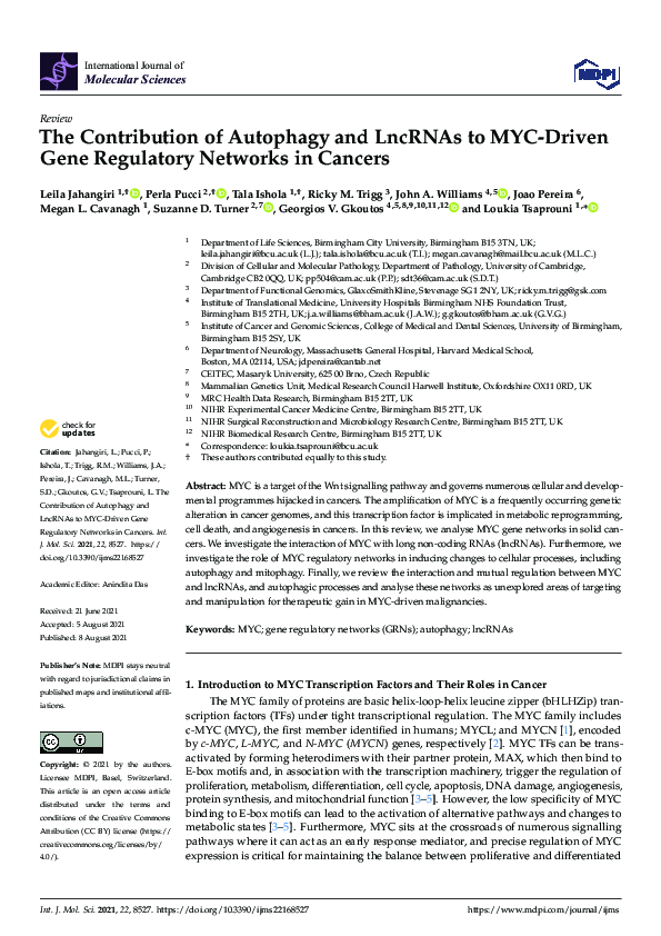 (PDF) The Contribution of Autophagy and LncRNAs to MYC-Driven Gene ...