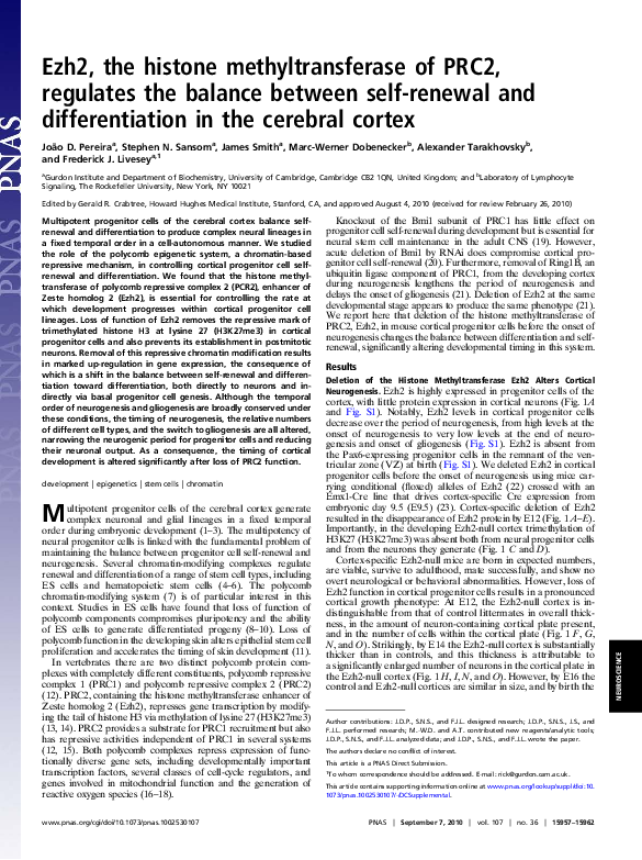 (PDF) Ezh2, the histone methyltransferase of PRC2, regulates the ...