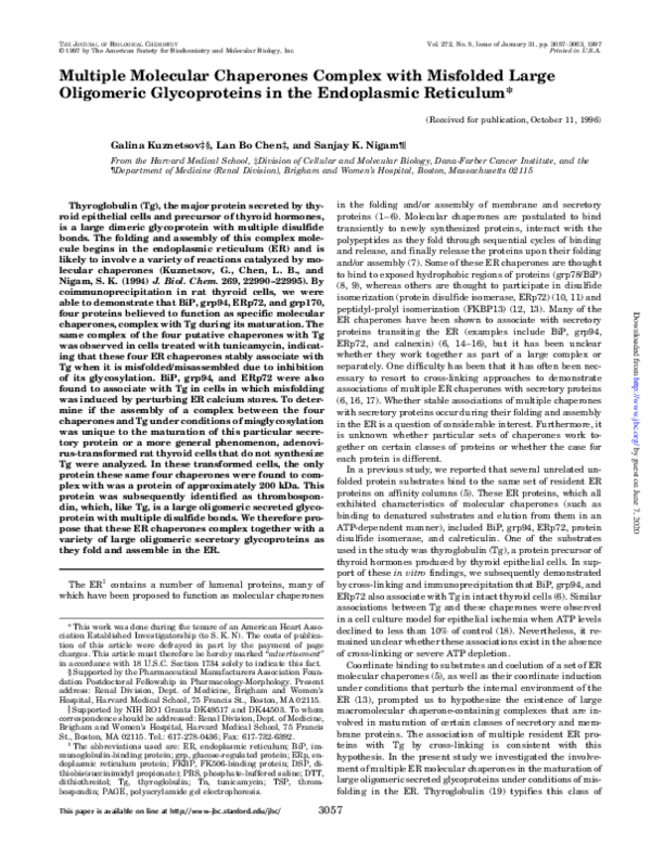 Multiple Molecular Chaperones Complex with Misfolded Large Oligomeric Glycoproteins in the Endoplasmic Reticulum
