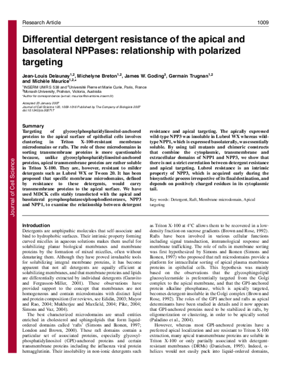(PDF) Differential detergent resistance of the apical and basolateral ...