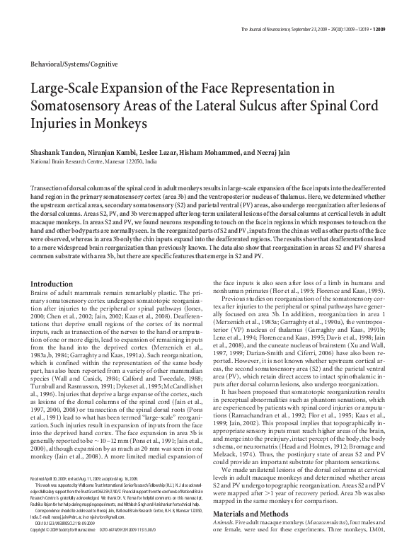 (PDF) Large-Scale Expansion of the Face Representation in Somatosensory ...