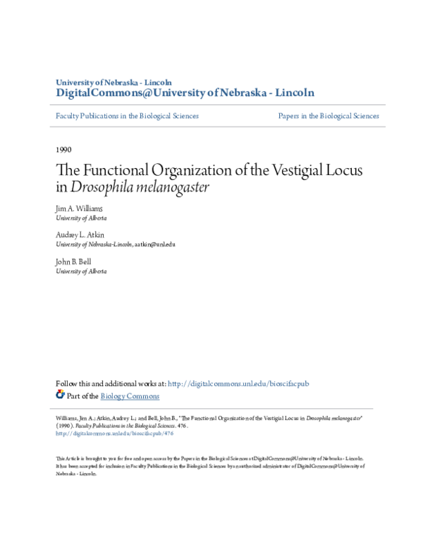 (PDF) The functional organization of the vestigial locus in Drosophila ...