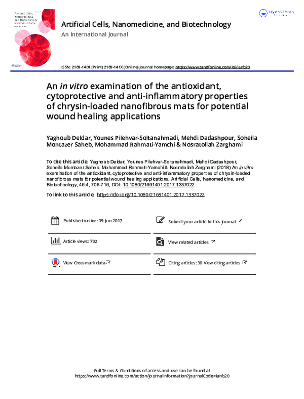 (PDF) An in vitro examination of the antioxidant, cytoprotective and ...