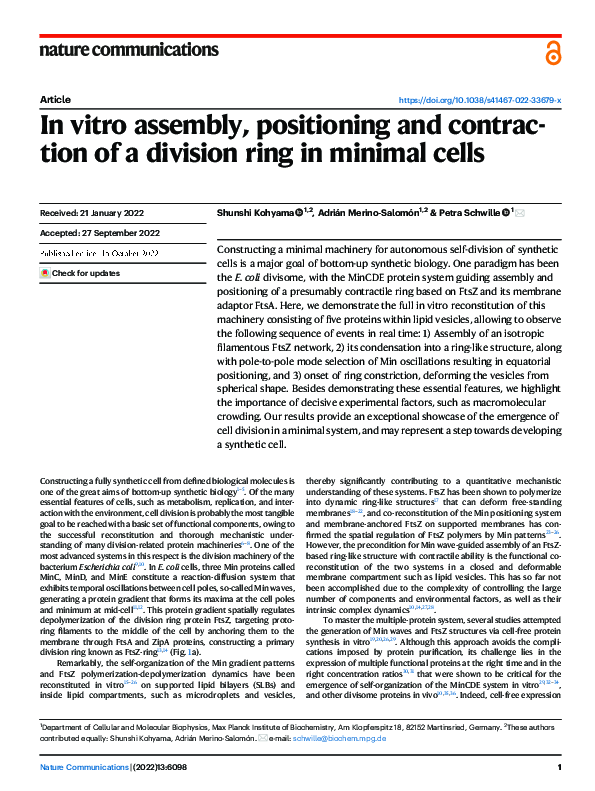 (PDF) In vitro assembly, positioning and contraction of a division ring ...
