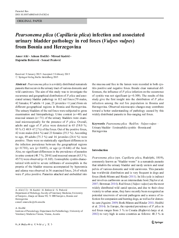 (PDF) Pearsonema plica (Capillaria plica) infection and associated ...
