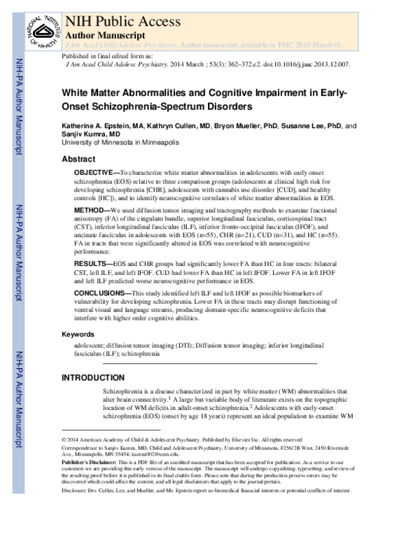 (PDF) White Matter Abnormalities and Cognitive Impairment in Early ...