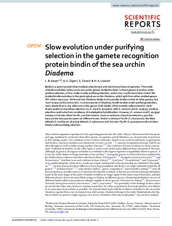 (PDF) Slow evolution under purifying selection in the gamete ...