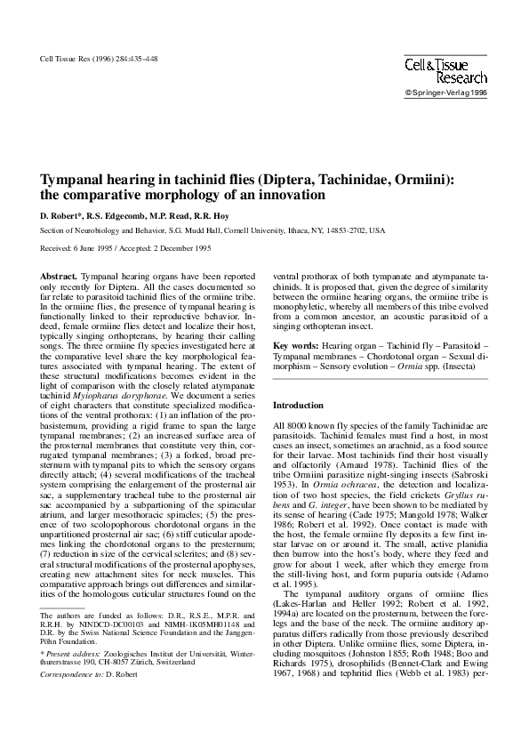 (PDF) Tympanal hearing in tachinid flies (Diptera, Tachinidae, Ormiini ...