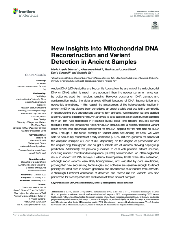 (PDF) New Insights Into Mitochondrial DNA Reconstruction and Variant ...