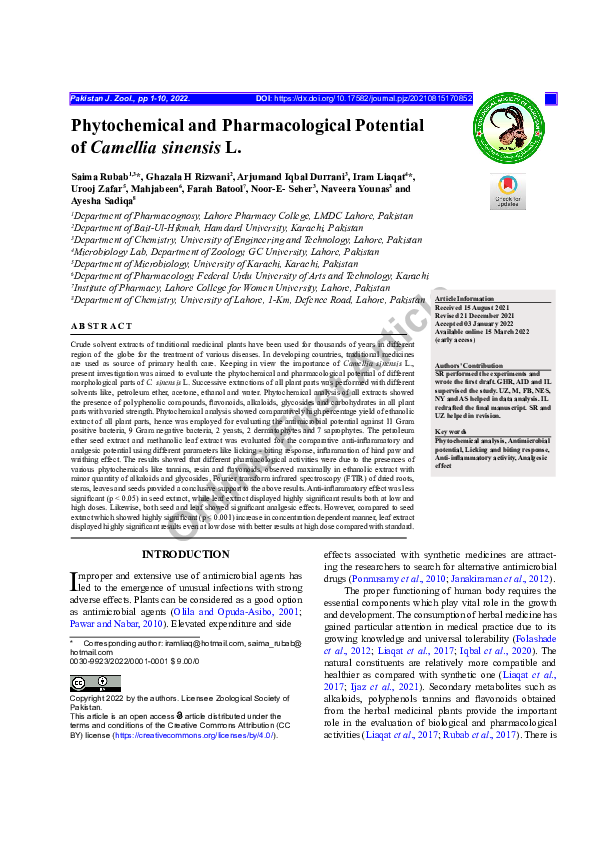 (PDF) Phytochemical and Pharmacological Potential of Camellia sinensis L