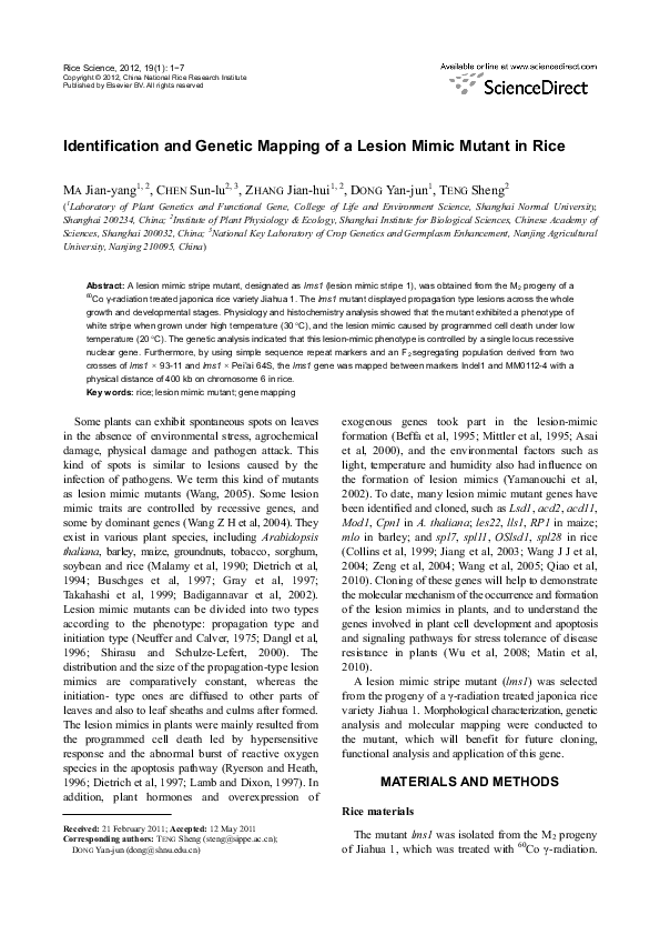(PDF) Identification and genetic mapping of a lesion mimic stripe ...