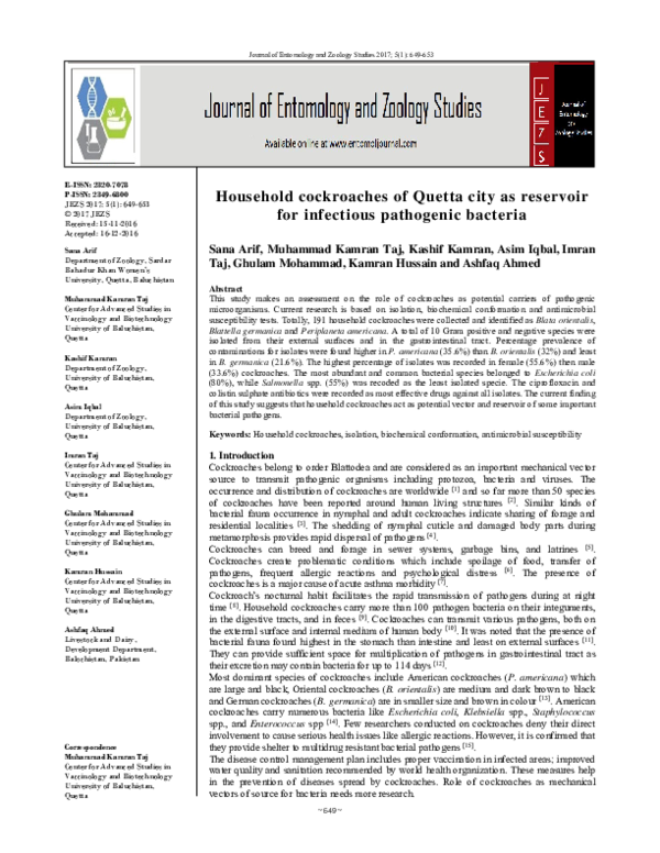 (PDF) Household cockroaches of Quetta city as reservoir for infectious ...