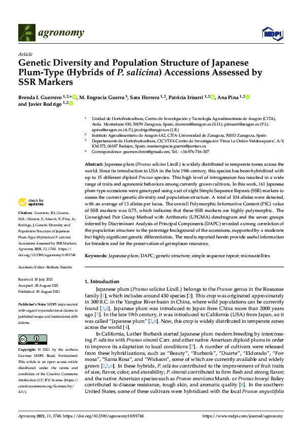(PDF) Genetic Diversity and Population Structure of Japanese Plum-Type ...