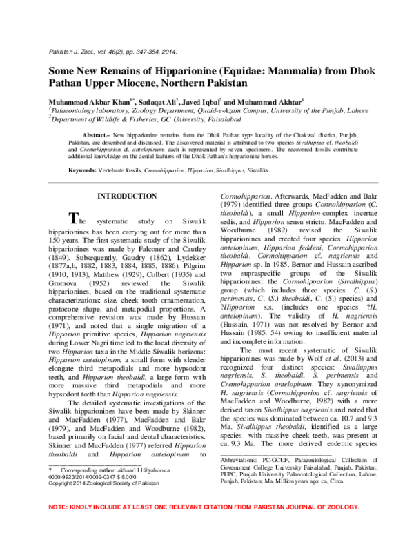 (PDF) Some New Remains of Hipparionine (Equidae: Mammalia) from Dhok ...