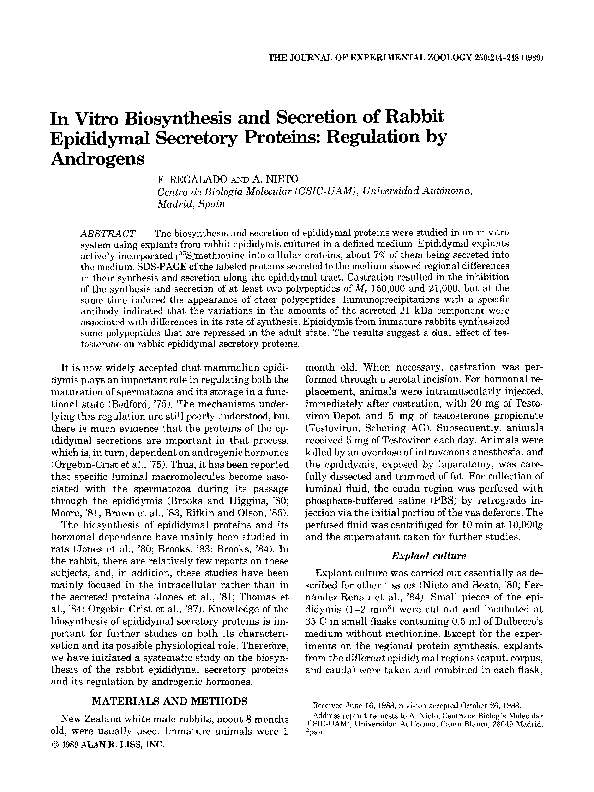 (PDF) In vitro biosynthesis and secretion of rabbit epididymal ...
