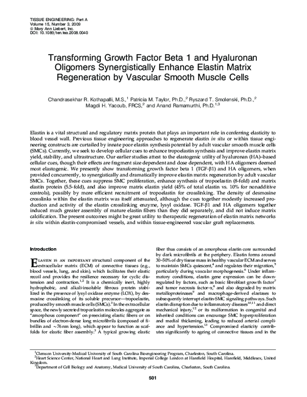 (PDF) Transforming Growth Factor Beta 1 and Hyaluronan Oligomers ...