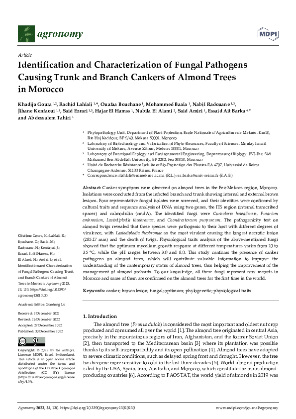 (PDF) Identification and Characterization of Fungal Pathogens Causing ...