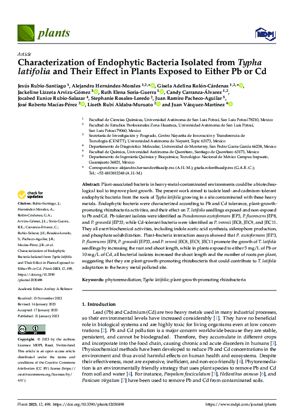 (PDF) Characterization of Endophytic Bacteria Isolated from Typha ...