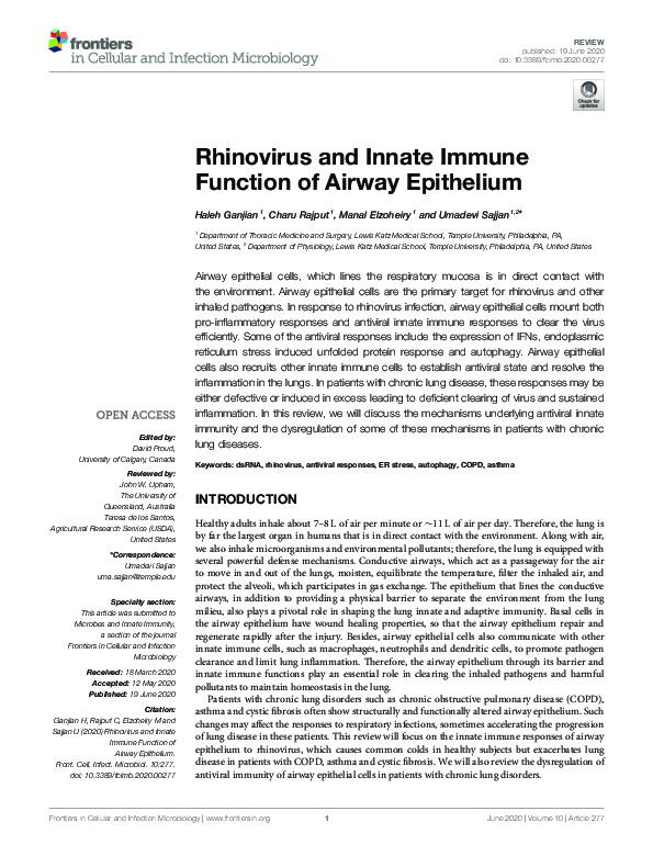 (PDF) Rhinovirus and Innate Immune Function of Airway Epithelium