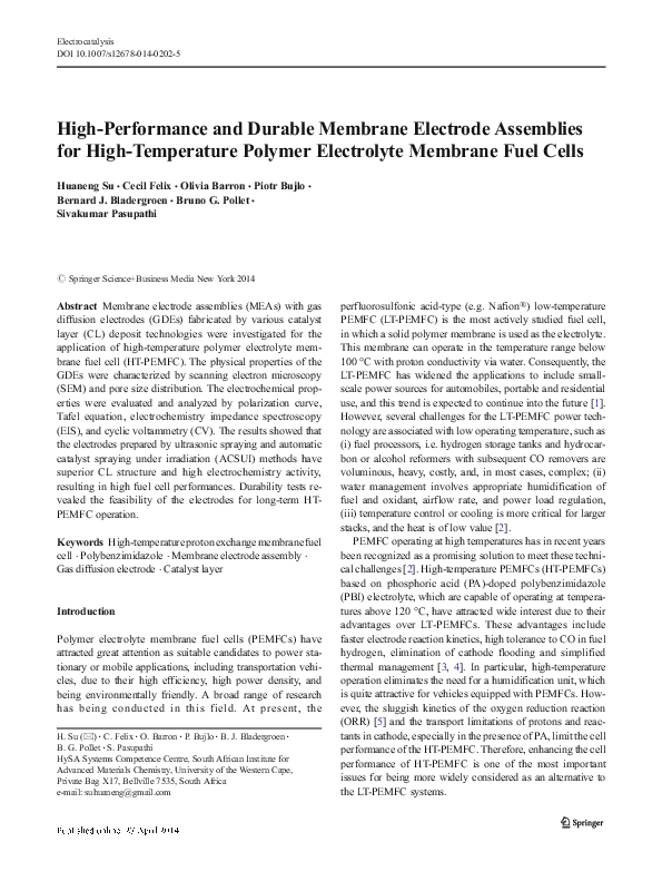 (PDF) High-Performance and Durable Membrane Electrode Assemblies for ...