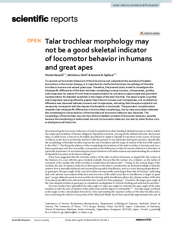 (PDF) Talar trochlear morphology may not be a good skeletal indicator ...