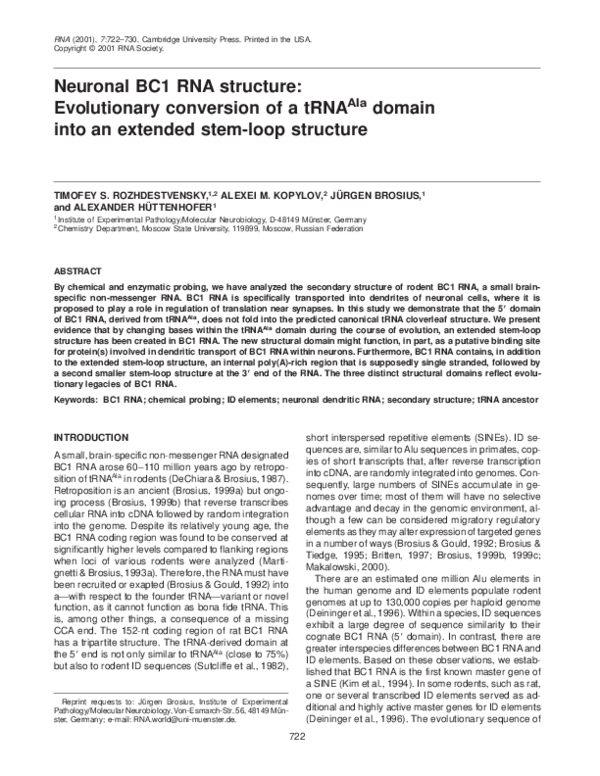 (PDF) Neuronal BC1 RNA structure: Evolutionary conversion of a tRNAAla ...