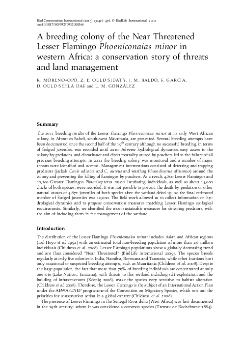 (PDF) A breeding colony of the Near Threatened Lesser Flamingo ...