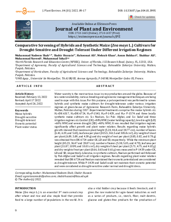 (PDF) Comparative Screening of Hybrids and Synthetic Maize (Zea mays L ...