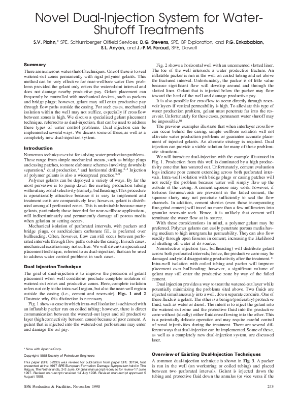 (PDF) A Novel Dual Injection System for Water Shut-Off Treatments ...