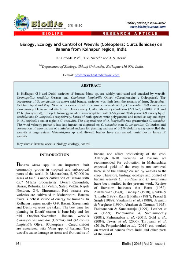 (PDF) Biology, Ecology and Control of Weevils (Coleoptera ...