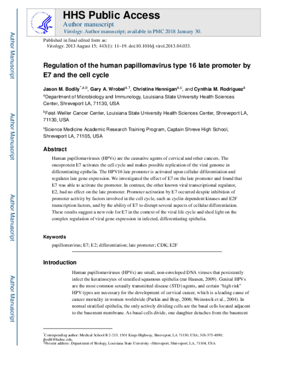 (PDF) Regulation of the human papillomavirus type 16 late promoter by ...