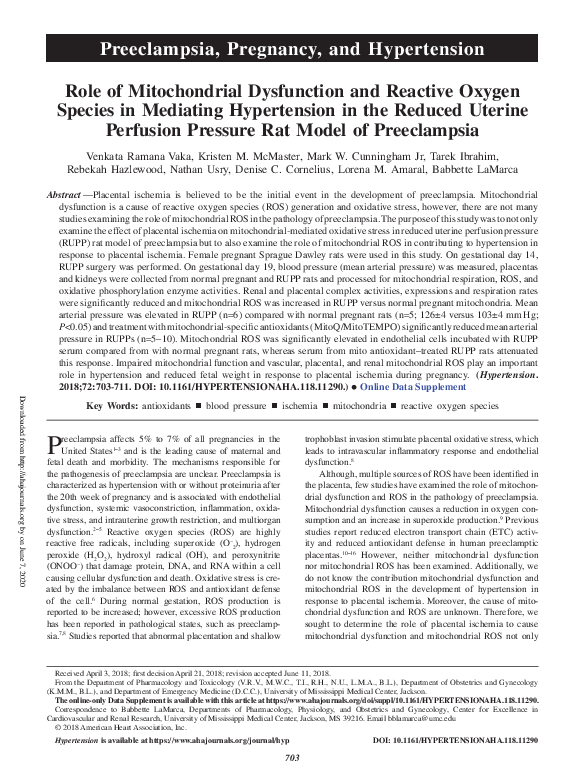 (PDF) Role of Mitochondrial Dysfunction and Reactive Oxygen Species in ...