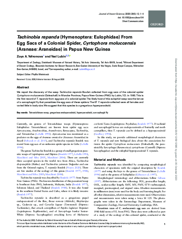 (PDF) Tachinobia repanda (Hymenoptera: Eulophidae) From Egg Sacs of a ...